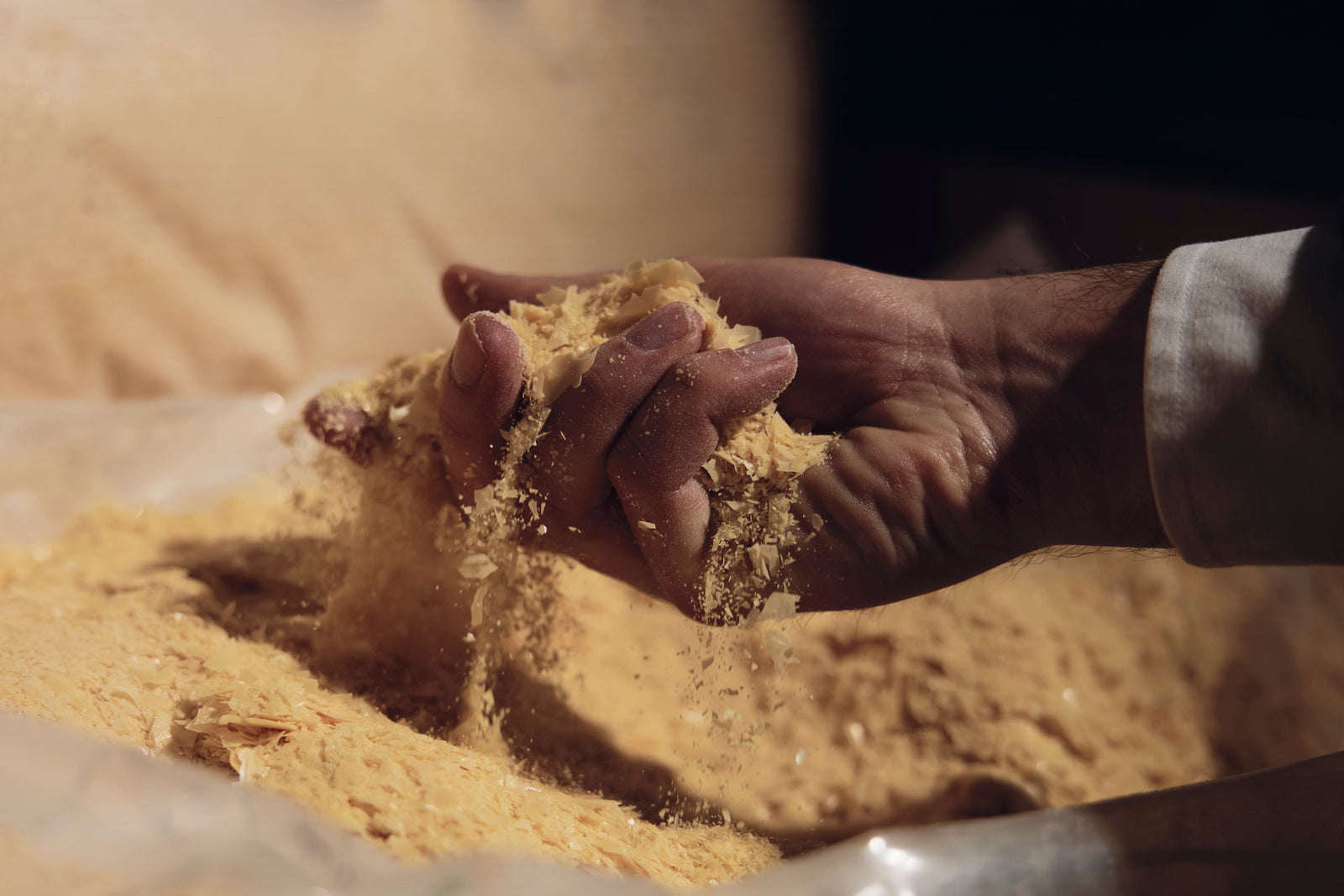 Carnauba – la cera natural más dura del mundo